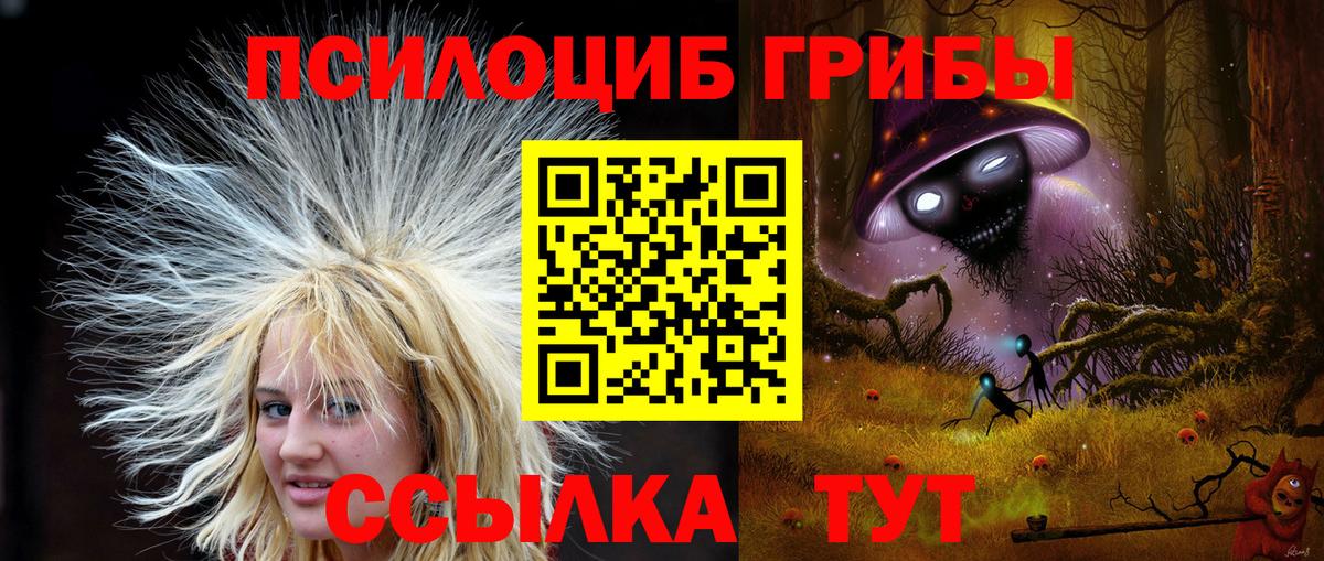 Галлюциногенные грибы ЛСД Новодвинск