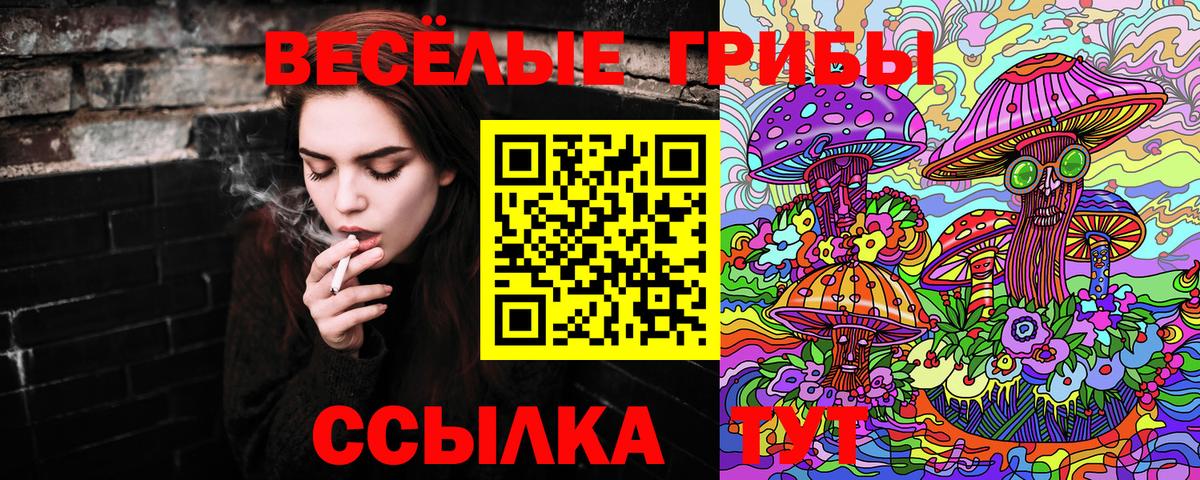 Галлюциногенные грибы Psilocybe  Вход с VPN  Новодвинск 